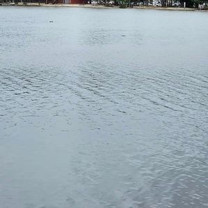 Meet your Posher, Ricardo